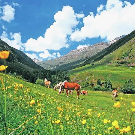 Apartment In Near Stablein Lift *